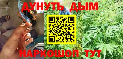 индика Новодвинск
