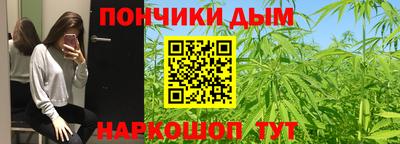 индика Новодвинск