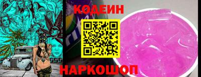 индика Новодвинск