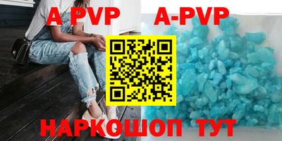 индика Новодвинск