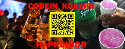 индика Новодвинск