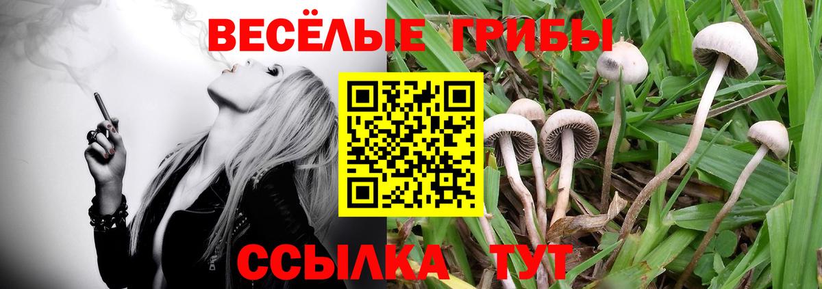 Псилоцибиновые грибы GOLDEN TEACHER  Вход с VPN  Оренбург 